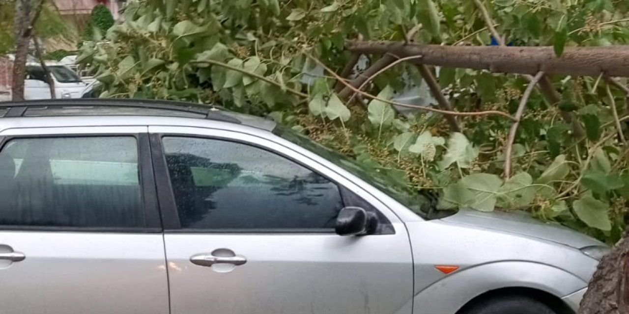 Fırtına Marmaris’i Vurdu: Belediye Ekipleri Seferber Oldu