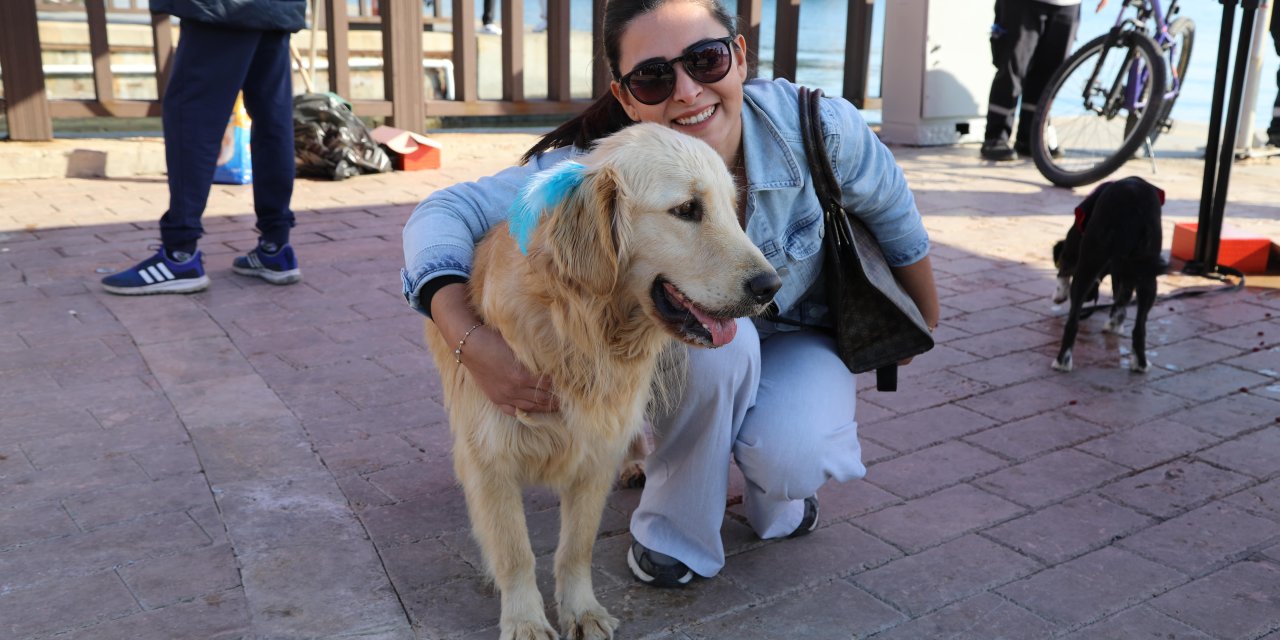 PatiFest’te 3 Patili Dost Sıcak Yuvasına Kavuştu