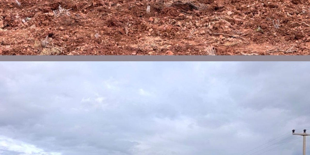 Hisarönü’nde 170 bin fidan toprakla buluşuyor