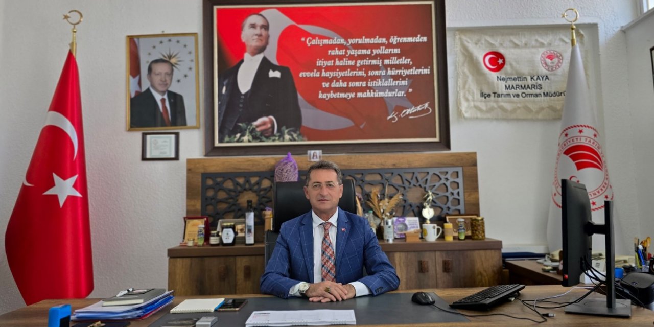 İlçe Tarım Müdürü Kaya: Başıboş Köpeğe Ağır Ceza Geliyor