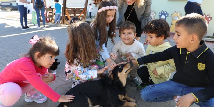 Büyükşehir’den 4 bin 34 Can Dosta Yeni Yuva
