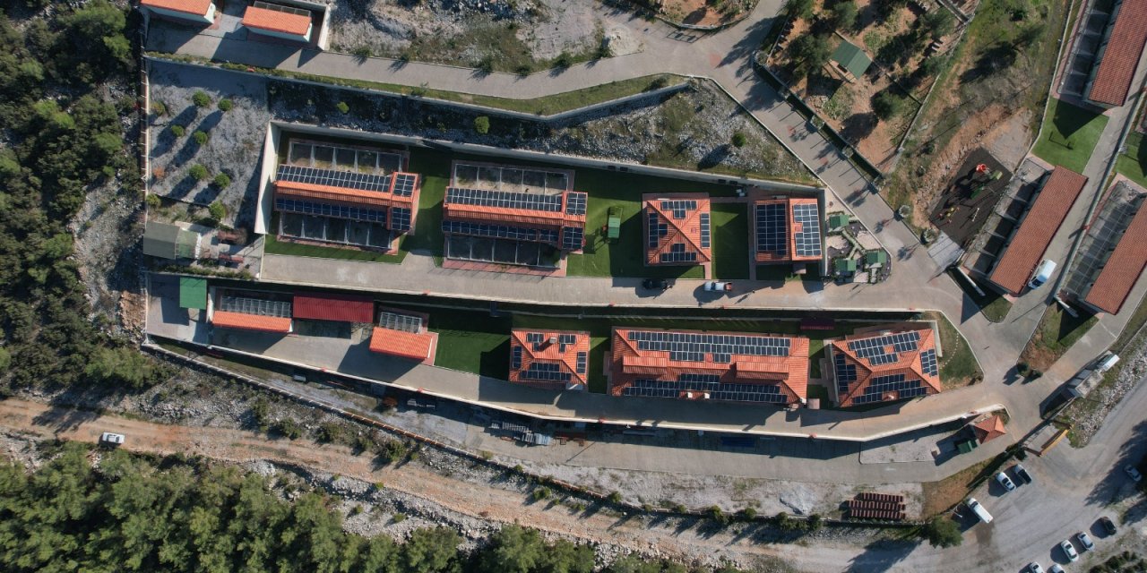 Büyükşehir’den 4 bin 34 Can Dosta Yeni Yuva