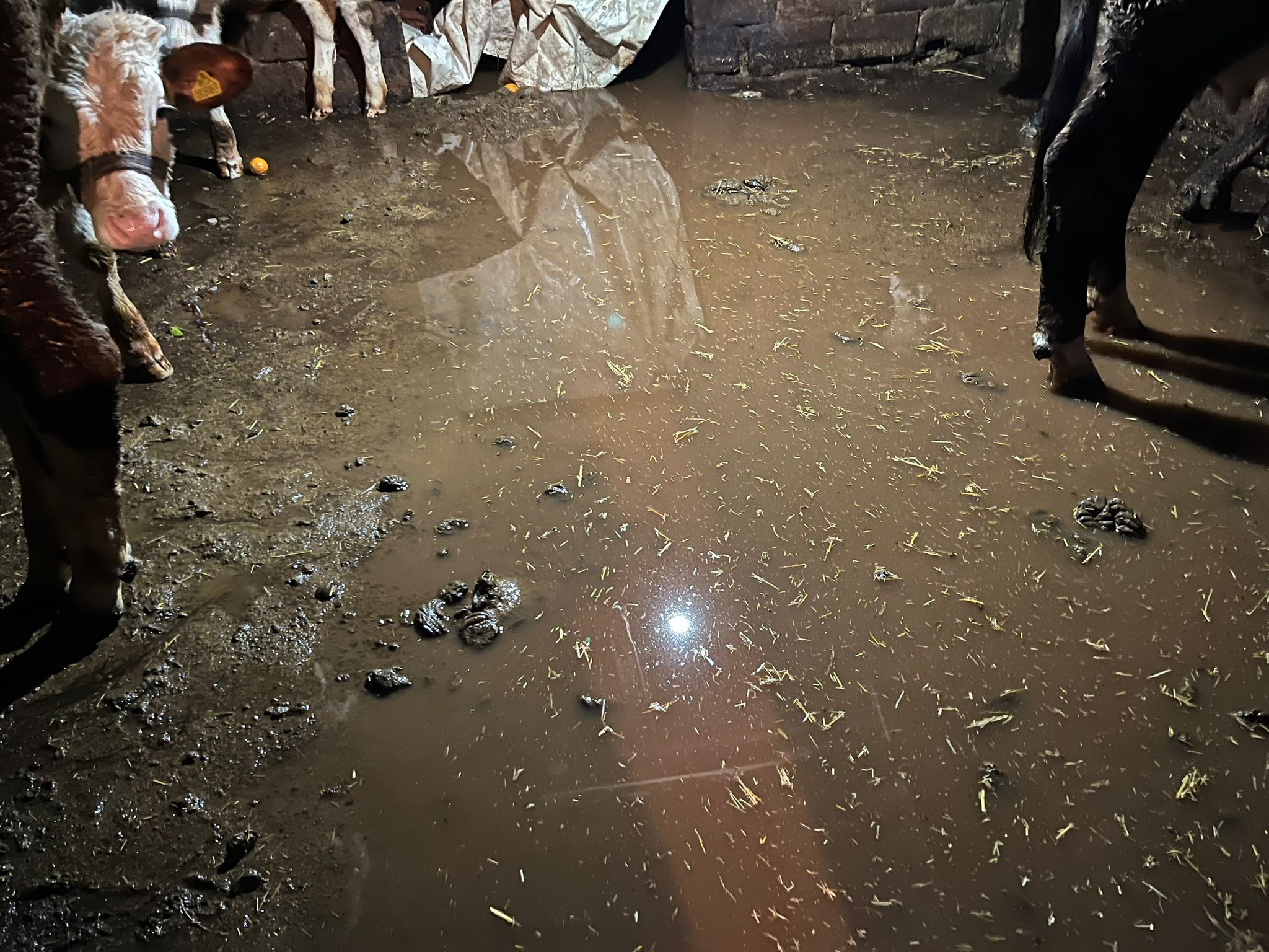 Marmaris’te Sağanak ve Fırtına Hayatı Felç Etti!