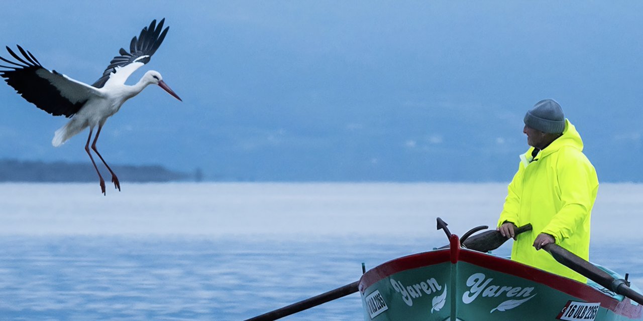 Yaren leylek Vefalı Çıktı, Keşke Bazı Vefasız İnsanlar da Örnek Alsa