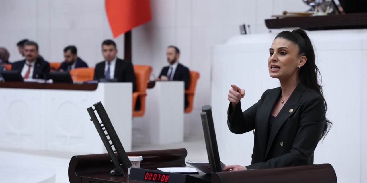 Muğla Milletvekili Gizem Özcan,  “Tarım, turizm ve kültür kenti Muğla'yı nasıl maden sahasına çevirdiniz?