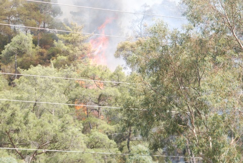 Marmarisin ciğerlerini elektrik çarptı