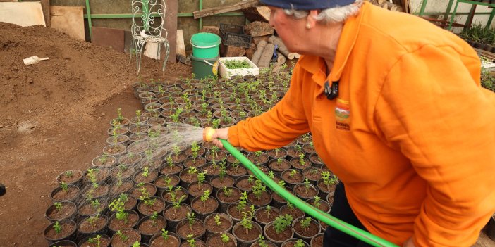 MİLYONLUK TASARRUFUN ADRESİ: MARMARİS BELEDİYESİ SERALARI