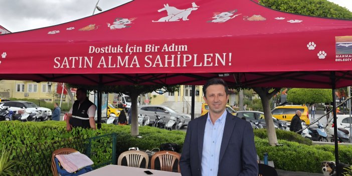 Marmaris’te “Satın Alma, Sahiplen” Etkinliği: Barınak Hayvanları Yeni Yuvalarını Arıyor