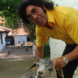 Kötü Filmlere İnat