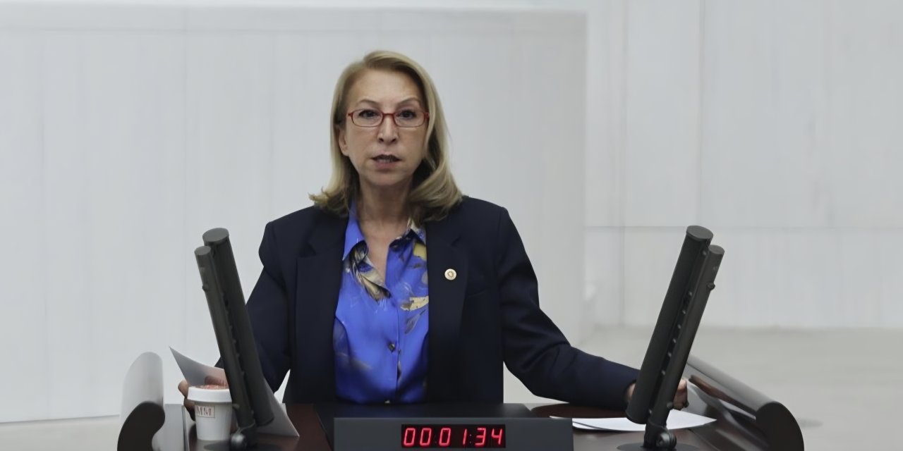 CHP’Lİ SÜREYYA ÖNEŞ DERİCİ: “MESELE, ÜLKEYİ YÖNETEN İKTİDARIN TERCİHİNİ EMEKLİSİNDEN YANA YAPMAMASIDIR”