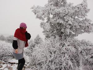 Muğla'ya beyaz sürpriz!