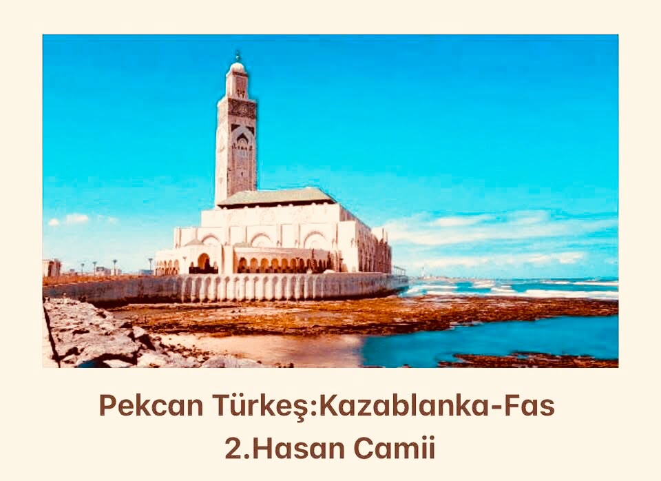 TURİST REHBERİNİN SEYİR DEFTERİNDEN BİR SAYFA: FAS