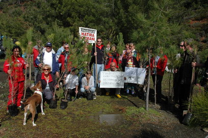 İmdata Fidanlı Destek