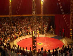 Avrasya Sirki Marmariste