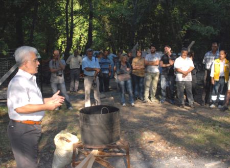 Sığla Ormanlarında Festival Heyecanı