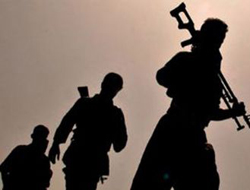 Tunceli de büyük PKK operasyonu