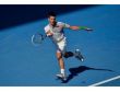 Djokovic ve Ferrer çeyrek finalde