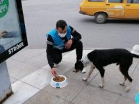 Muğla’da sokak hayvanları Ülkü Ocakları tarafından beslendi
