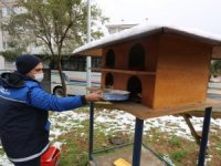 Muğla Büyükşehir, Kar Yağışında Can Dostlarını Unutmadı