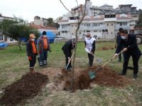 Sağlıkçılar Anısına Fidan Dikildi