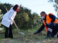 Pandemi Şehitleri Anısına Fidanlar Toprakla Buluştu