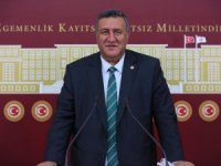 Gürer: “Tarımda sorunlar derinleşiyor”