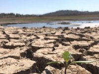 Muğla’da Su Kullanımı Yüzde 25 Arttı Barajların Doluluk Oranı Ciddi Oranda Azaldı