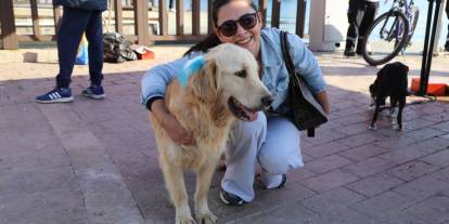 PatiFest’te 3 Patili Dost Sıcak Yuvasına Kavuştu