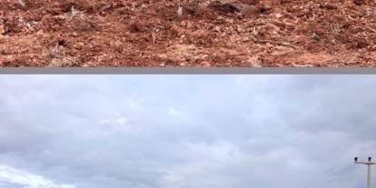 Hisarönü’nde 170 bin fidan toprakla buluşuyor