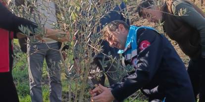 “Cuma Buluşmaları” Kapsamında Üreticilere Yerinde Zeytin Budaması Eğitimi