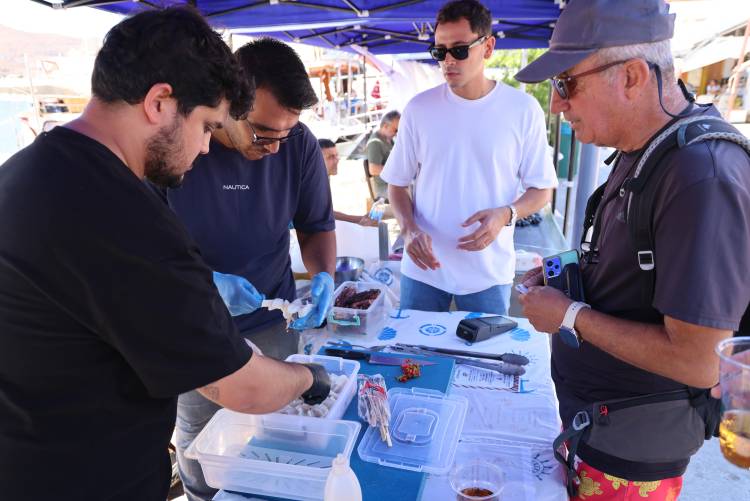 deniz-urunleri-festivali-10.jpg