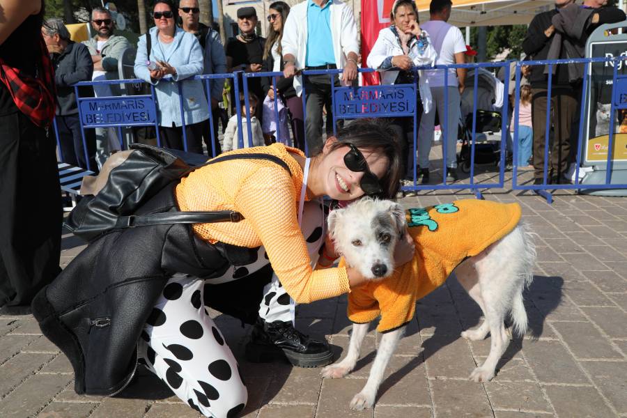marmaris-patifest-3.jpg