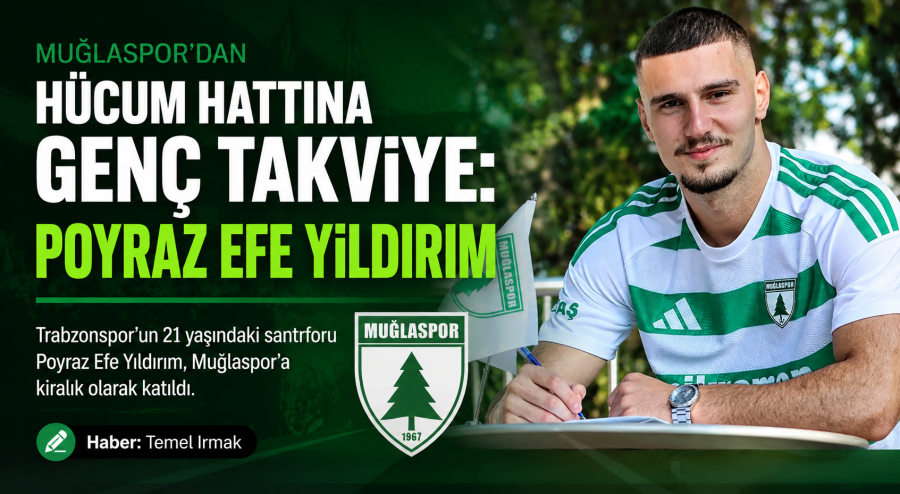file-00000000efc481f4a08a4b74aff272c3.png