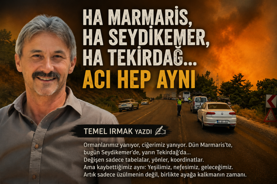 file-00000000dba4820abf71d70d17c12778.png