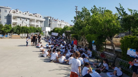 5177d576-0ed7-4d30-bef6-ee3a11b8fc19.jpg 5177d576-0ed7-4d30-bef6-ee3a11b8fc19.jpg