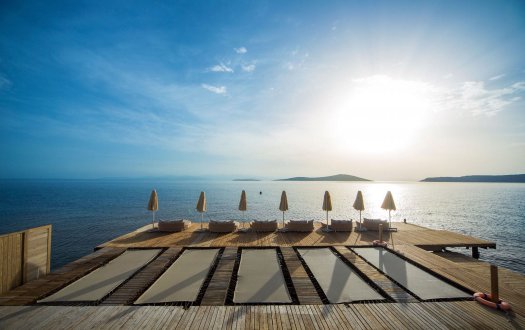 bvs-5.jpeg bvs-5.jpeg