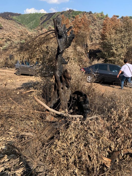 d2215b31-3344-4119-bafa-aa450772c48d.jpg d2215b31-3344-4119-bafa-aa450772c48d.jpg