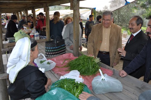 dsc_0025-001.jpg dsc_0025-001.jpg