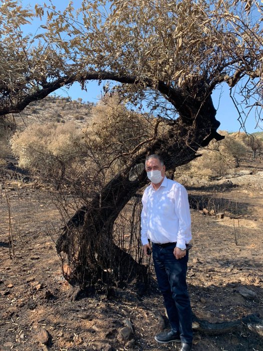 ff969b80-38c5-4b06-bb48-52fdc83e83c1.jpg ff969b80-38c5-4b06-bb48-52fdc83e83c1.jpg