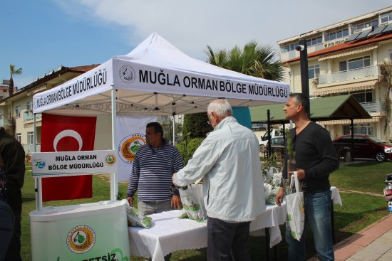 img_0887.jpg img_0887.jpg