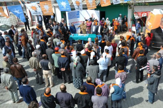 img_1428.jpg img_1428.jpg