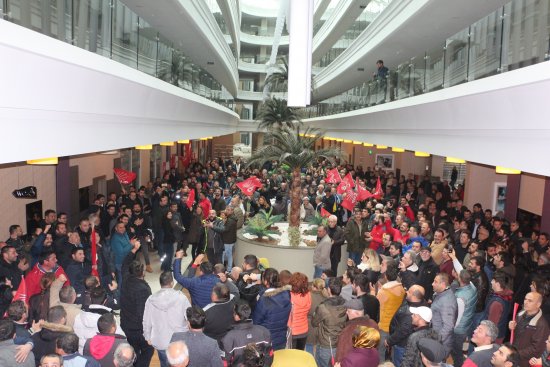 img_3991gfgfg.jpg img_3991gfgfg.jpg