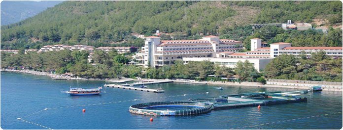 open-seawater-dolphinarium-marmaris-1.jpg