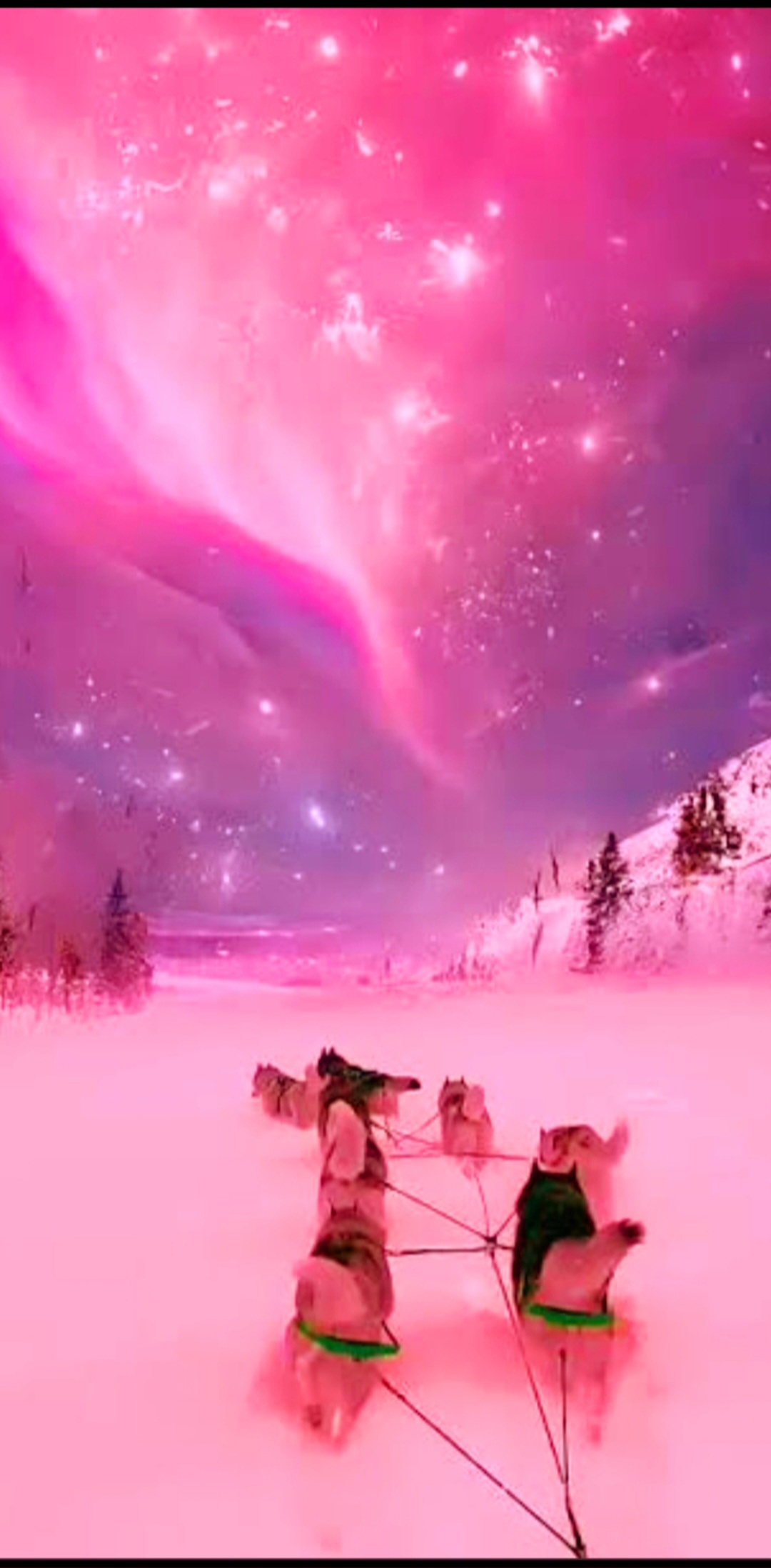 pinkpink-snow-001.jpg