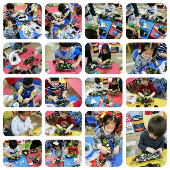 whatsapp-image-2019-02-07-at-18.36.49.jpeg whatsapp-image-2019-02-07-at-18.36.49.jpeg